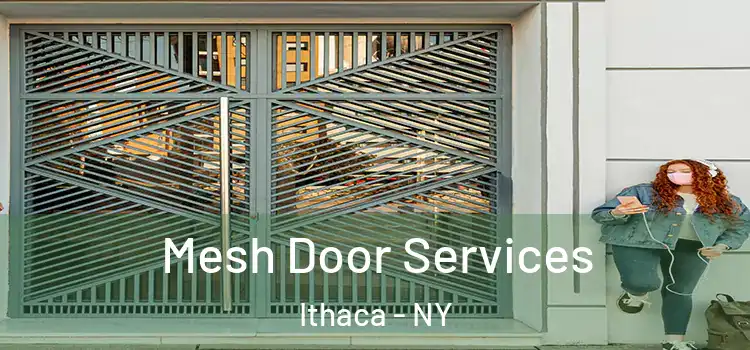Mesh Door Services Ithaca - NY
