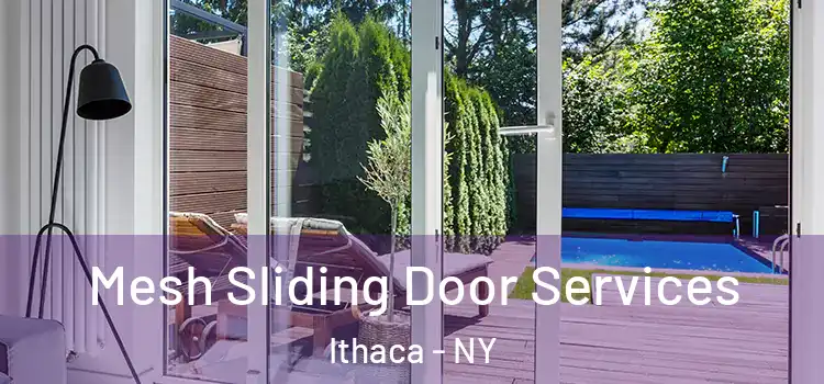 Mesh Sliding Door Services Ithaca - NY